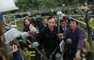 寒流造成農損嚴重 朱立倫:全力協助農民申請現金救助及資材補助