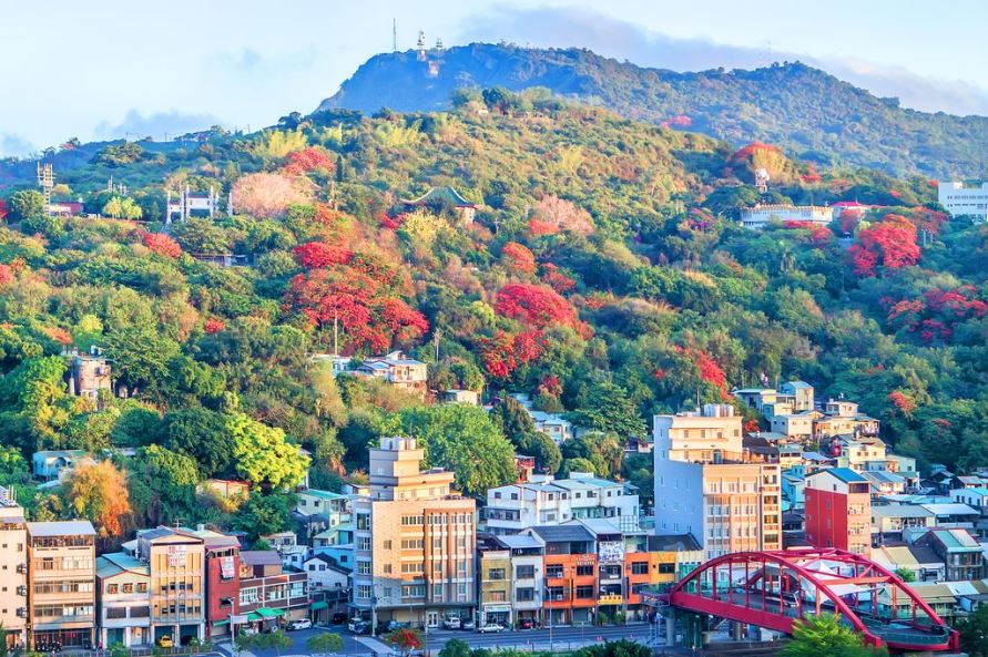 高雄市「壽山印象─生態攝影營」 歡迎捕捉最美的壽山風景