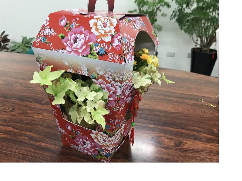 台北花市推出今年人氣最旺的新春盆花 散發濃厚節慶氣息