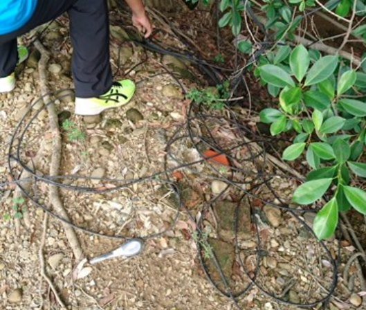 鴛鴦盜行竊後裝路人甲 仁警分局員警識破逮捕歸案
