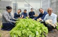 慈濟志工 響應證嚴上人以慈悲養息守護環境