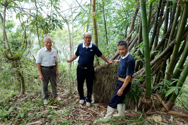 莫拉克崩塌地 慈濟志工李氏兄弟種植千株樹苗造林