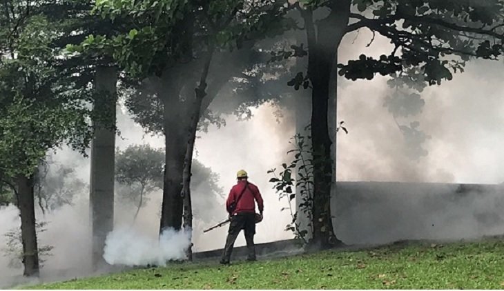 高雄市第44例本土登革熱確診個案