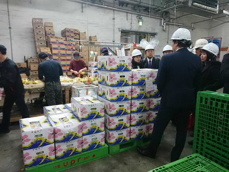 高雄市農業局：旗山香蕉外銷巳超越去年總量