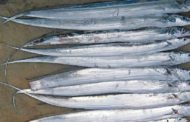 大陸停止對台出口天然砂 禁我輸入柑橘類水果、冰鮮白帶魚等