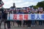行政院南服中心邀書法名家揮毫贈春聯、窗花剪紙 免費贈民眾
