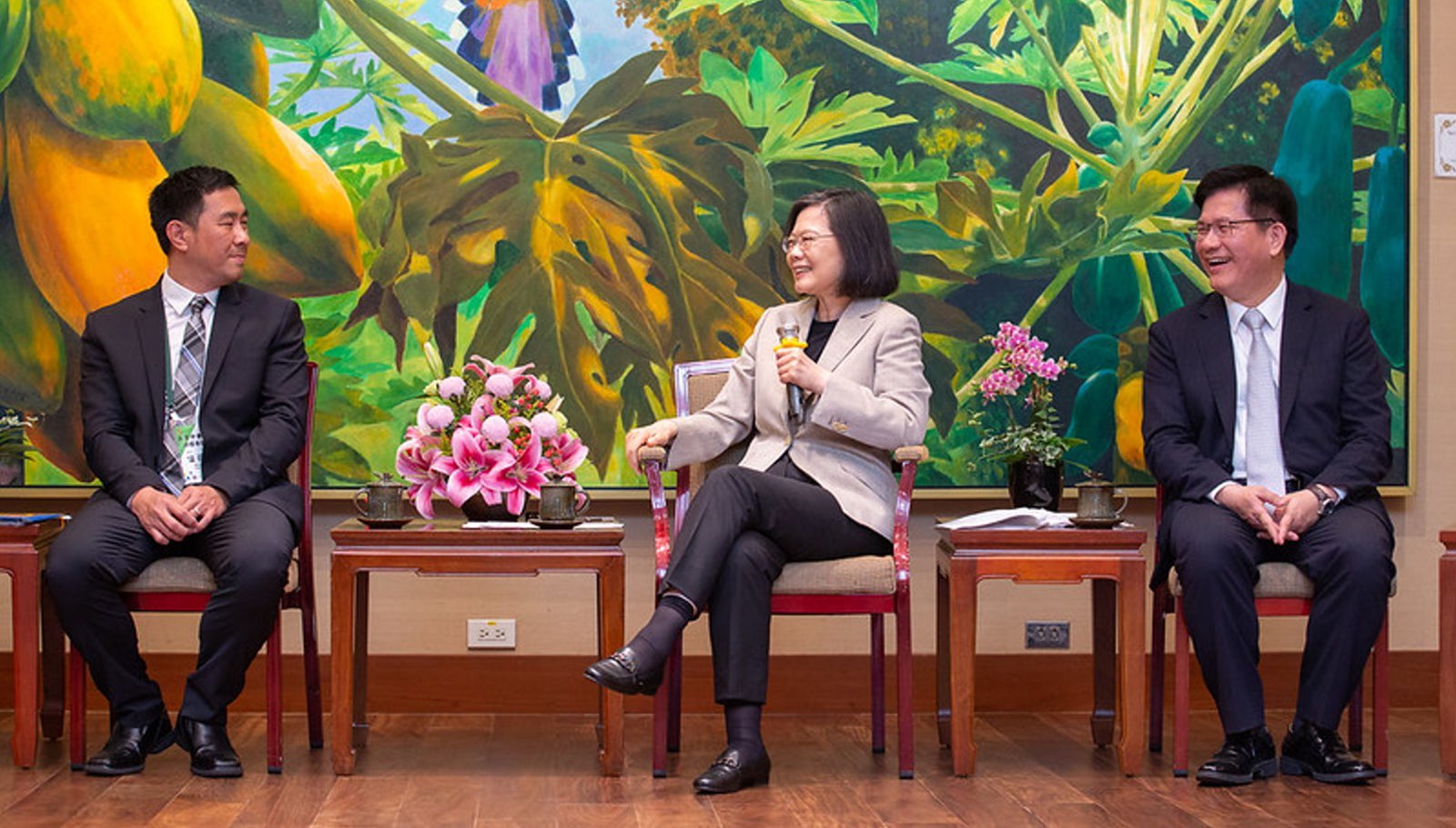 接見美京中華會館回國參訪團 蔡英文盼台美關係更上層樓