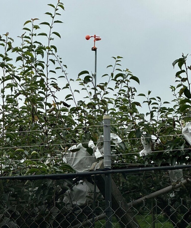 電圍網防獼猴危害農作 高雄市桃源區18日辦說明會
