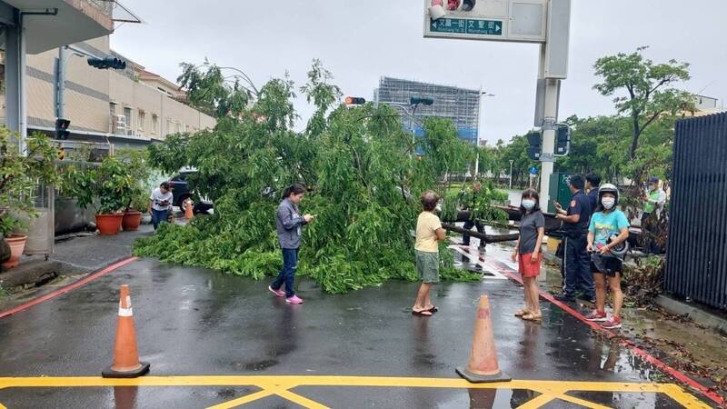 海葵蹂躪高雄 6萬多戶停電樹倒屋損招牌掉落
