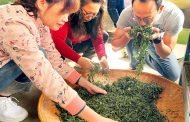 提升六龜山茶故事館功能 將設茶藝師訓練場域