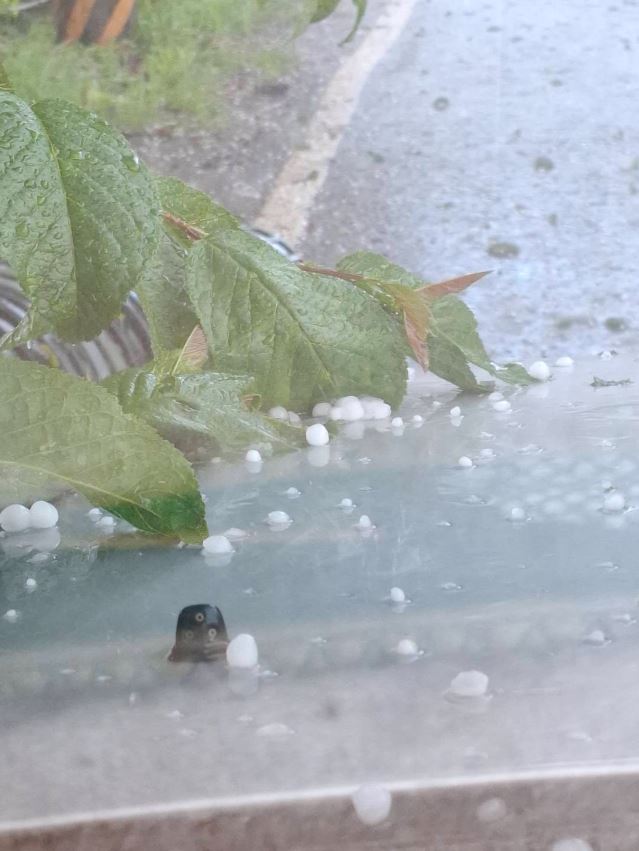 梨山地區下冰雹 中市府持續關心對農作物生產影響