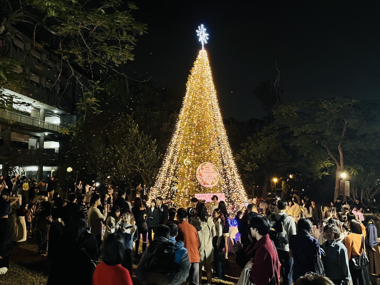 東海大學平安夜打造最溫暖校園聖誕城 夜光玫瑰映聖誕