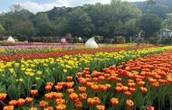 台北燈節20個遊程帶你玩限定旅宿優惠輕鬆省