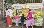 迎接2026馬年！神農市集嶄新面貌登場