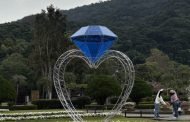 士林官邸鬱金香展浪漫亮點搶先看 心鑽閃耀西式庭園