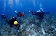 海委會加碼 攜手友善潛店守護蔚藍海洋