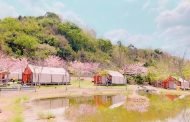 高雄合法露營場27個全國最多推《春遊高雄露營三部曲》