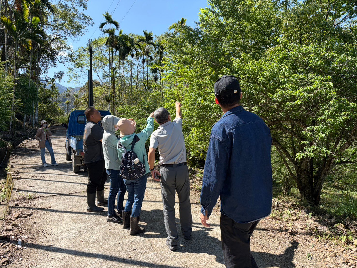 高雄青梅農損救助 3月19日起受理申請