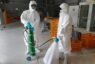 屏東鵪鶉場確診H5N1禽流感 撲殺7.8萬隻