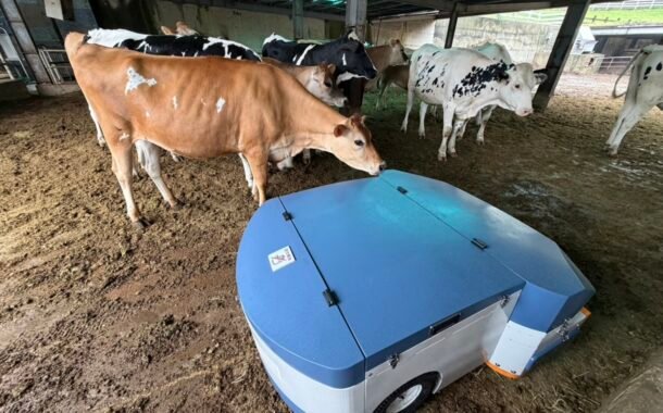 工研院畜試院研發「養牛三寶」 智慧機器人協助畜牧業轉型