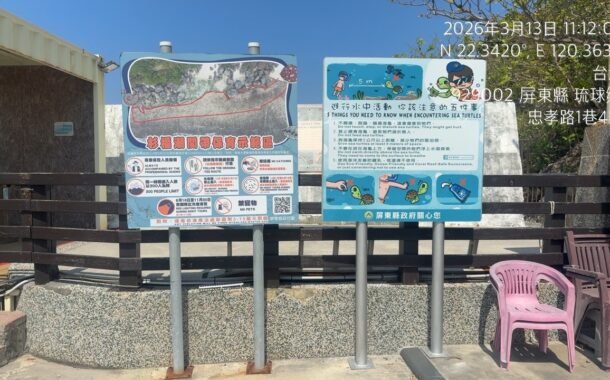 遊客摸海龜遭海巡移送 屏縣府籲民眾共同守護海龜避免觸法