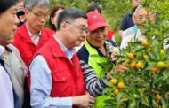薔琵颱風農損破2億 農業部：9縣市納天災救助